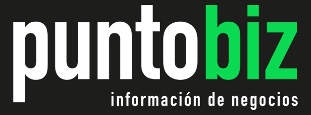 Punto biz 